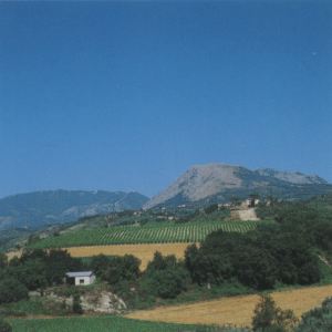 Colline del Taburno