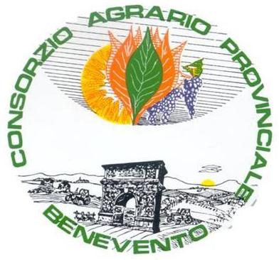 logo consorzio agrario benevento